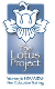 The Lotus Project